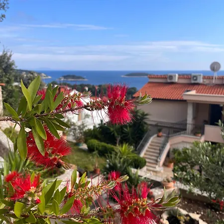 View Hvar Town